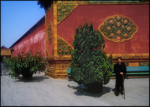 the forbidden palace beijing