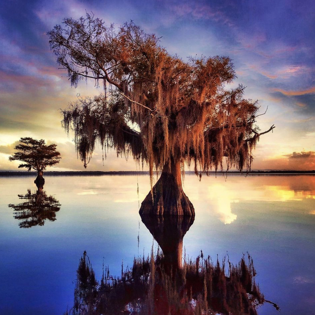 Everglades Florida iPhone photography landscape photograph by Raymond Gehman